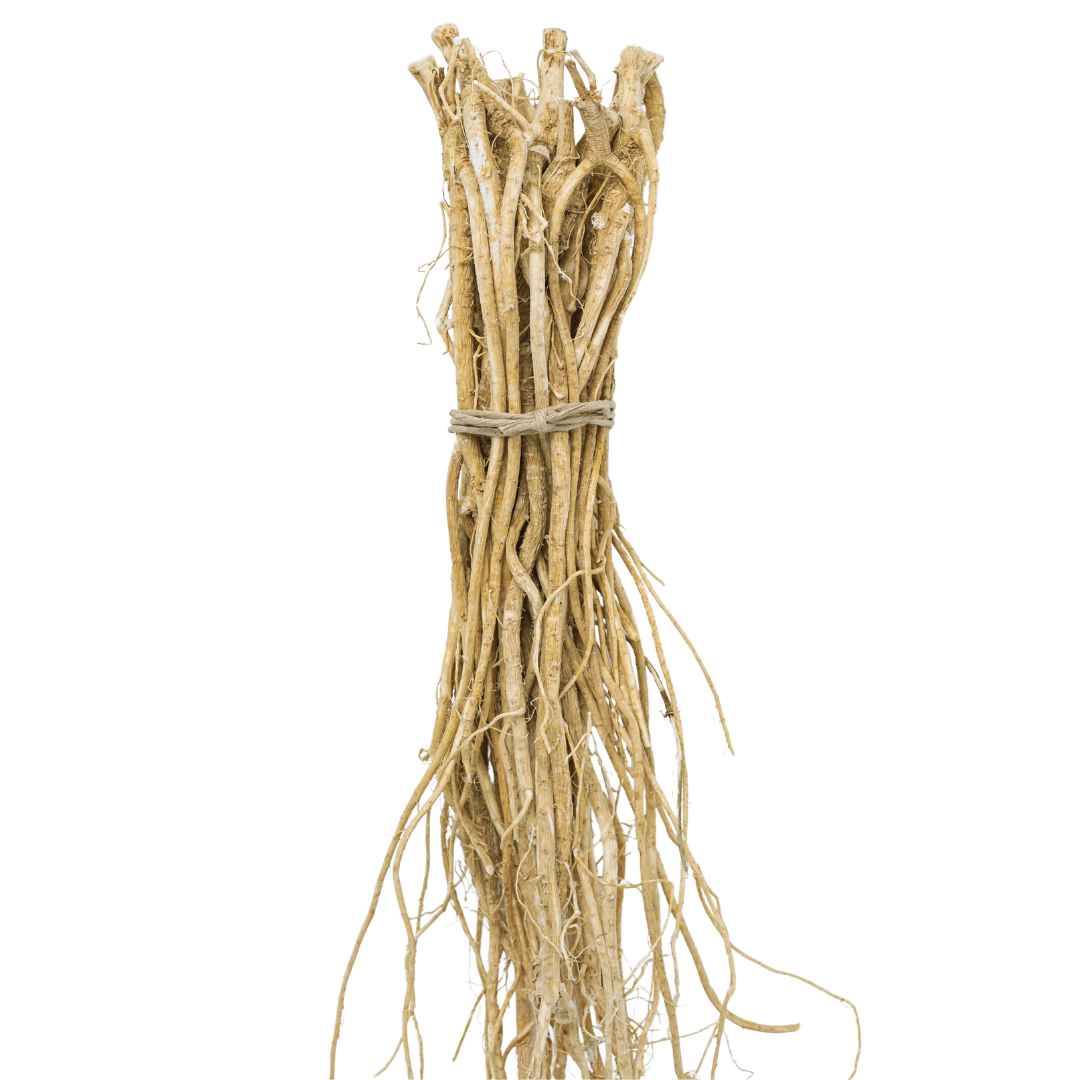 chinese milkvetsh, Huang Qi, Astragalus membranaceous dried roots bundle
