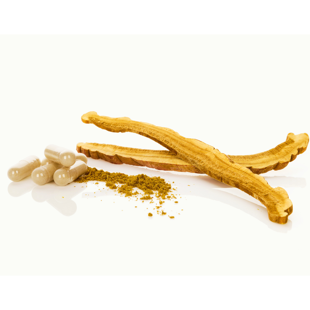 Ganoderma lucidum - Reishi mushroom sliced and powdered