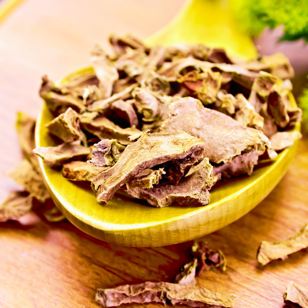 Rhodiola rosea plant dried root in flakes