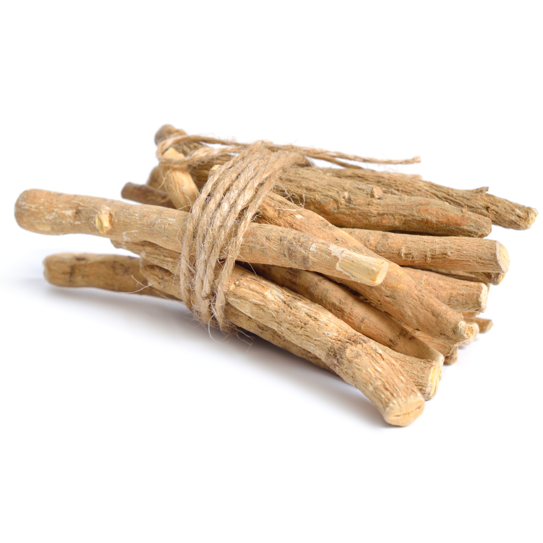 Withania somnifera dried root bundle