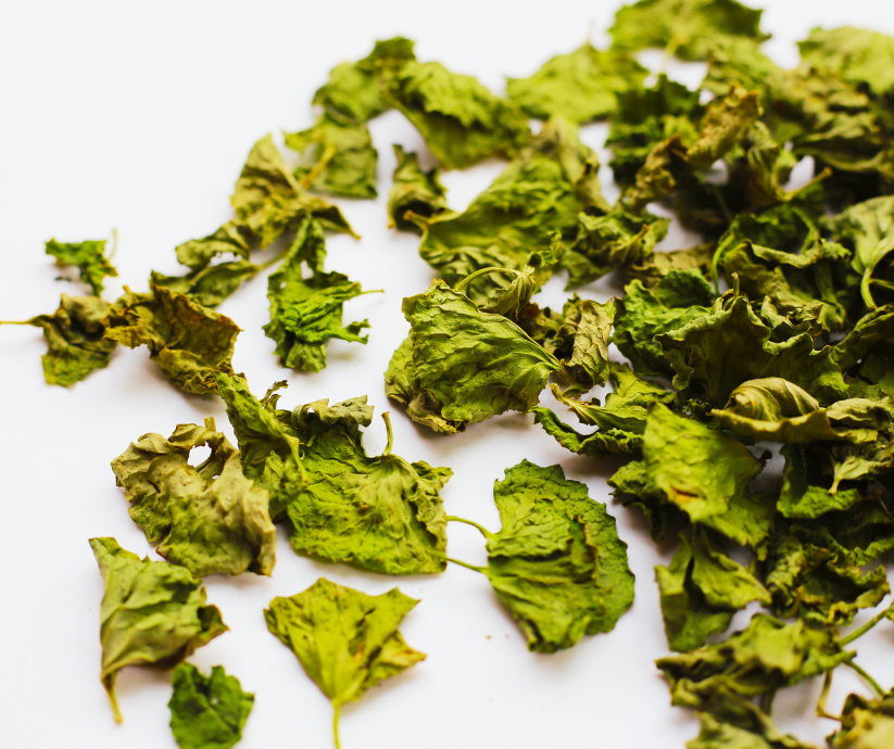 Centella asiatica, Gotu Kola dried herb