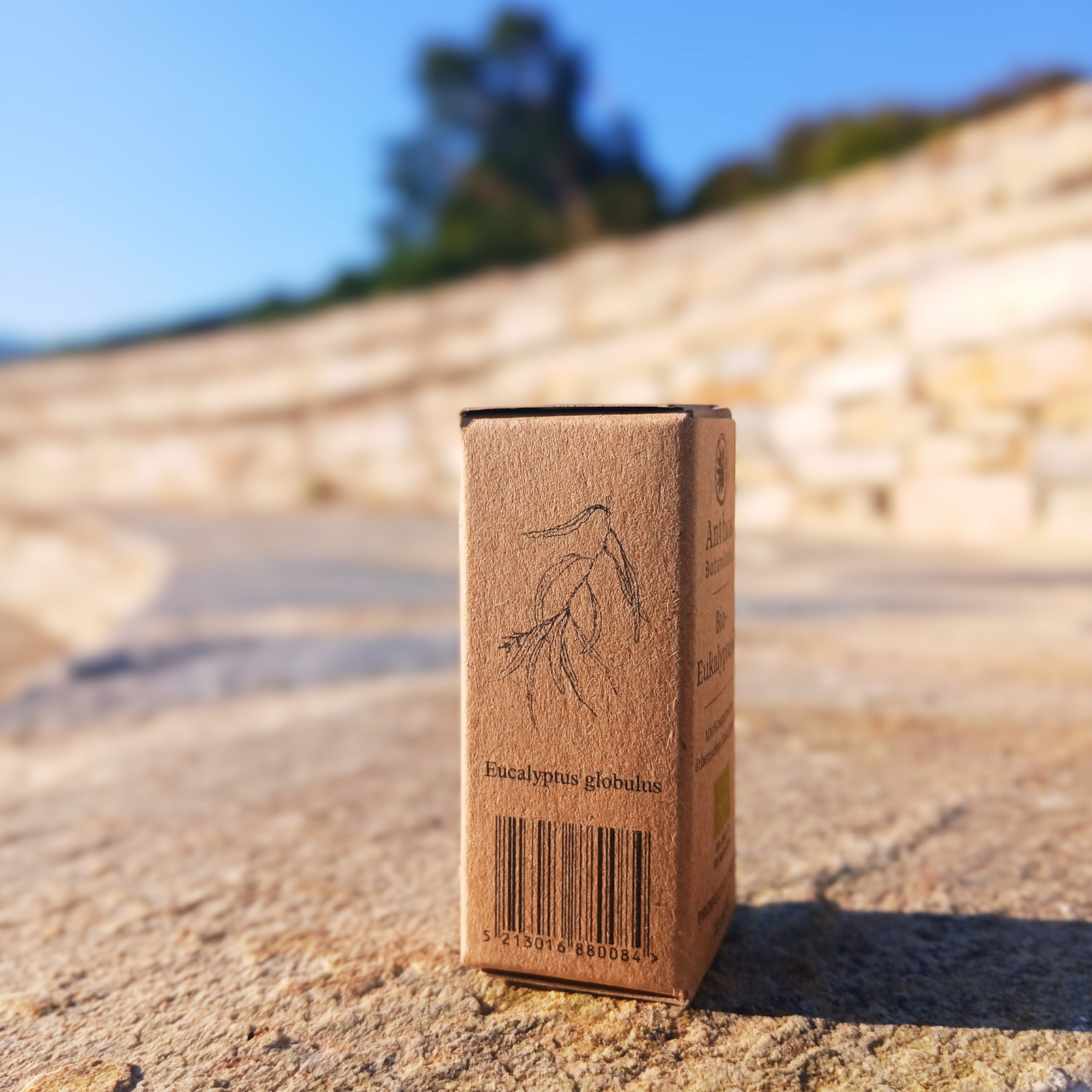 eucalyptus organic essential oils Anthos botanicals side view