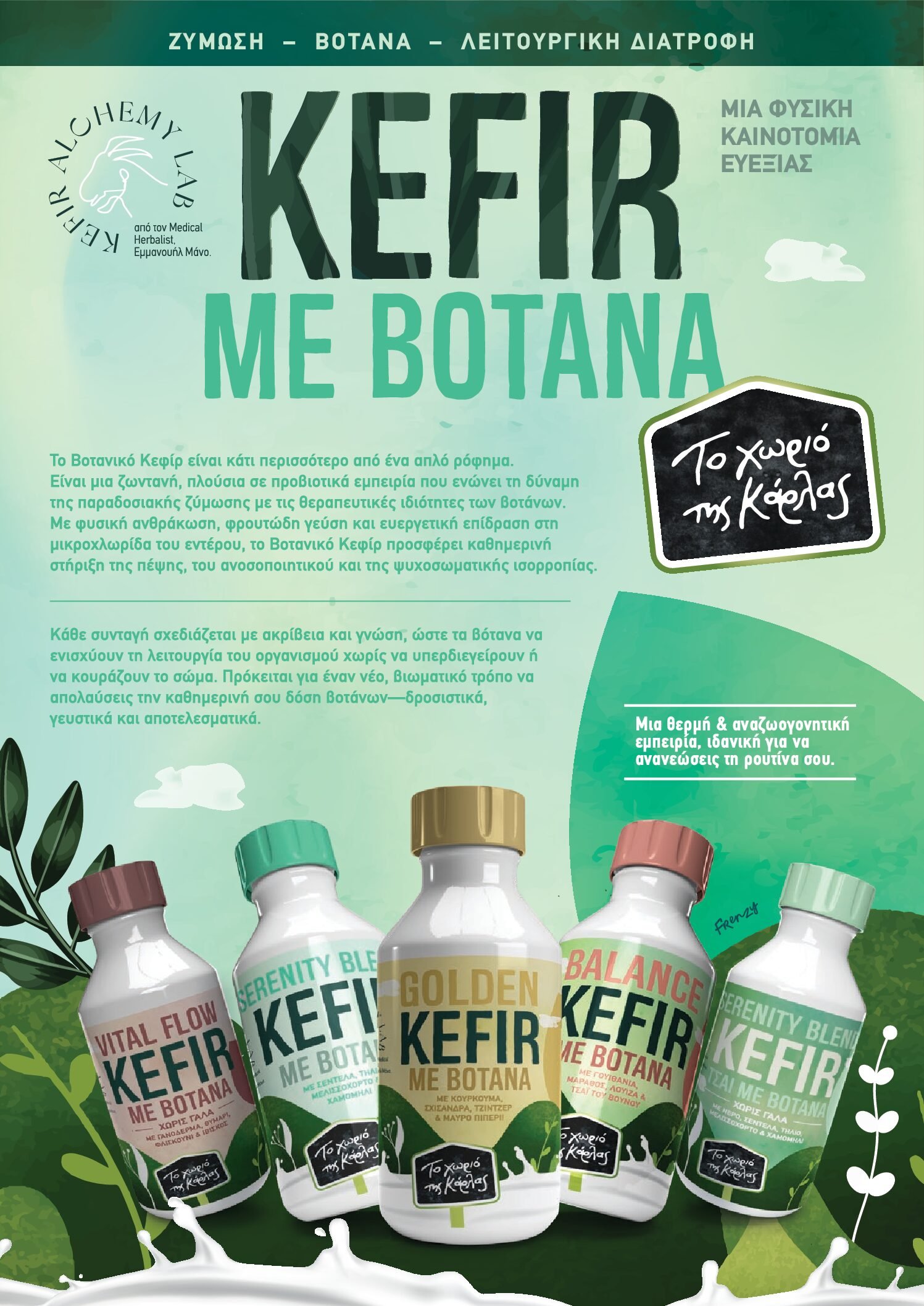 eucalyptus globulus tree, stem and leaves