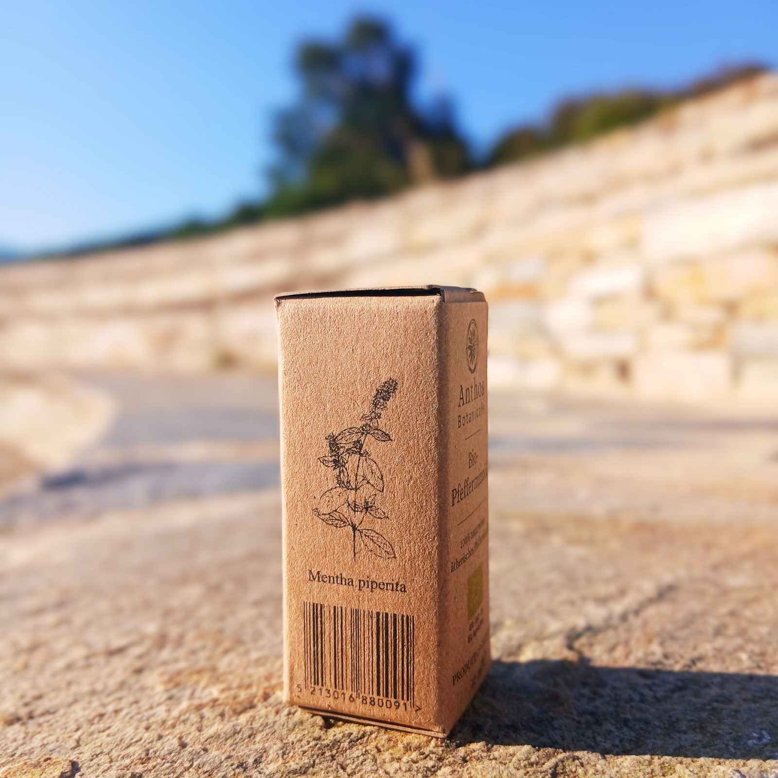 Anthos Botanicalspeppermint organic essential oil, side view , Ai Giorgis Nileias, Mt Pelion